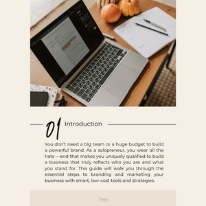 The Solopreneur Brand Smarter Guide